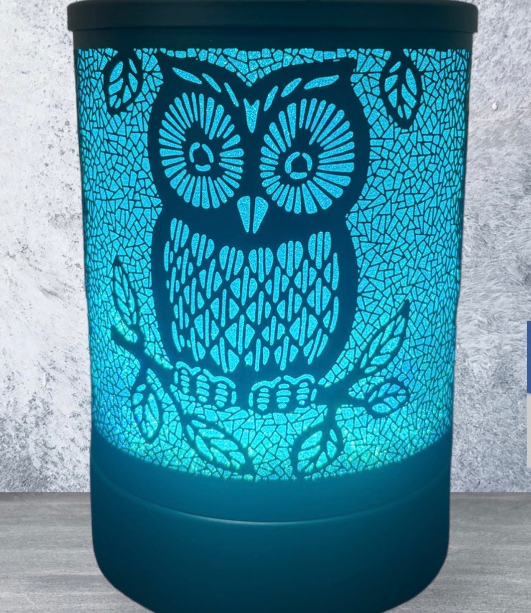 Black Hoot Owl Electric Wax Melt Burner